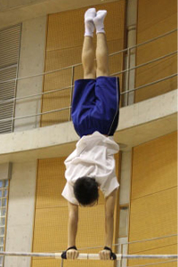 体操部の活動